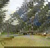 Chaelundi National Park - C Tourism