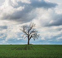 Clare Valley - C Tourism