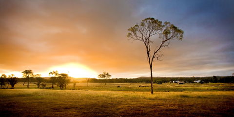 Cooyar - C Tourism 0