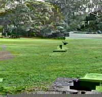 Cottonwood Glen Picnic Area - C Tourism