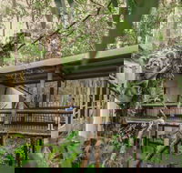 Daisy Hill Koala Centre - C Tourism