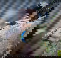 Delta Force Paintball - C Tourism