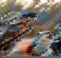 Echuca Paintball Games - C Tourism