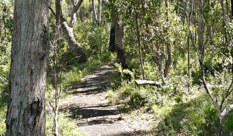 Euglah Rock Walking Track - C Tourism 0