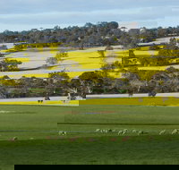 Fini Olives - C Tourism