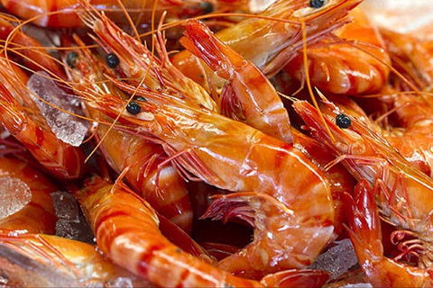 Fish And Fowl - C Tourism 0