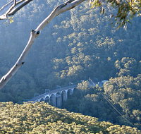 Forest Walk to Sublime Point Track - C Tourism