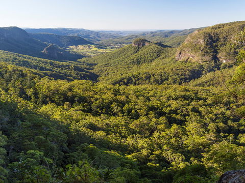 Gold Coast Hinterland Great Walk - C Tourism 0