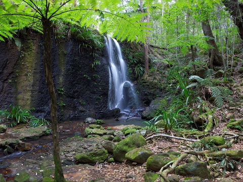 Gold Coast Hinterland Great Walk - C Tourism 1