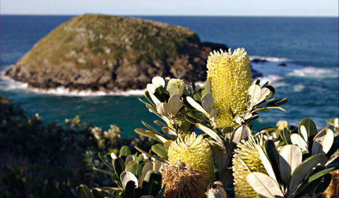 Green Island Walking Track - C Tourism 0