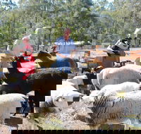 Haigslea EWE Nique Hobby Farm - C Tourism