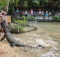 Hartley's Crocodile Adventures - C Tourism