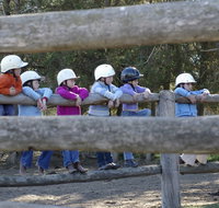 Harlow Park Horse Riding - C Tourism