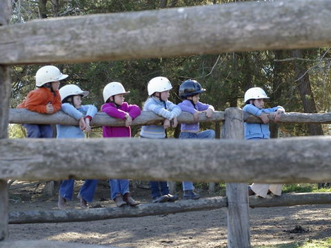 Harlow Park Horse Riding - C Tourism 0