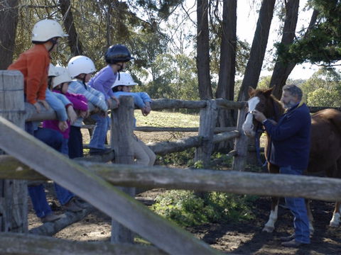 Harlow Park Horse Riding - C Tourism 2