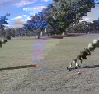 Inverell Golf Club - C Tourism