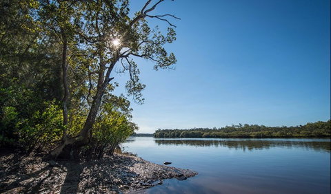 Karuah River National Park And Nature Reserve - C Tourism 0