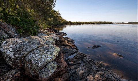 Karuah River National Park And Nature Reserve - C Tourism 2