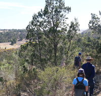 Kinchina Conservation Park - C Tourism