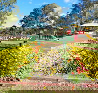 Kingaroy Rotary Park - C Tourism