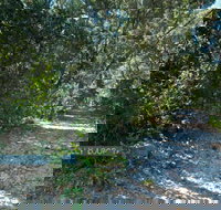 Lillypilly loop trail - C Tourism