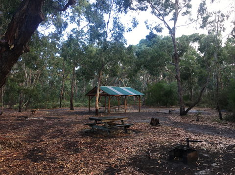 Long Lead Picnic Area And Campground - C Tourism 0