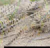 Manning Entrance State Park - C Tourism