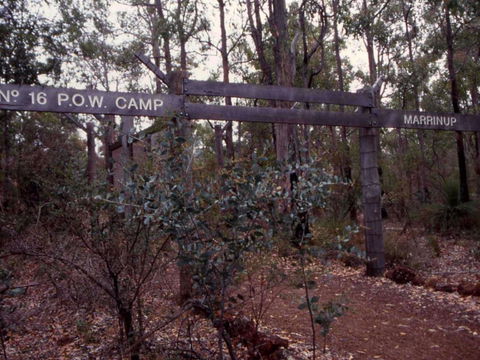 Marrinup Trail, Dwellingup - C Tourism 0