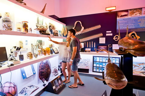 Marine Discovery Centre Hastings Point - C Tourism 1