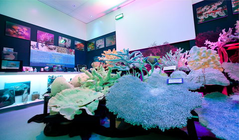 Marine Discovery Centre Hastings Point - C Tourism 2