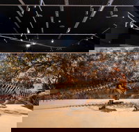 Megafauna Central - C Tourism