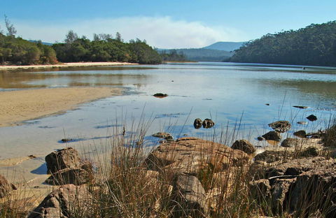 Merrica River Nature Trail - C Tourism 0
