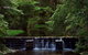 Millards Creek Walk And Cycleway - thumb 0