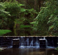 Millards Creek Walk and Cycleway - C Tourism