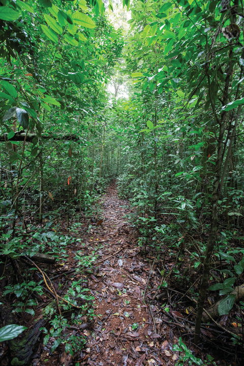 Misty Mountains Wilderness Tracks - C Tourism 1