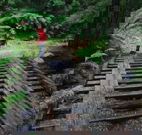 Montezuma Falls - C Tourism