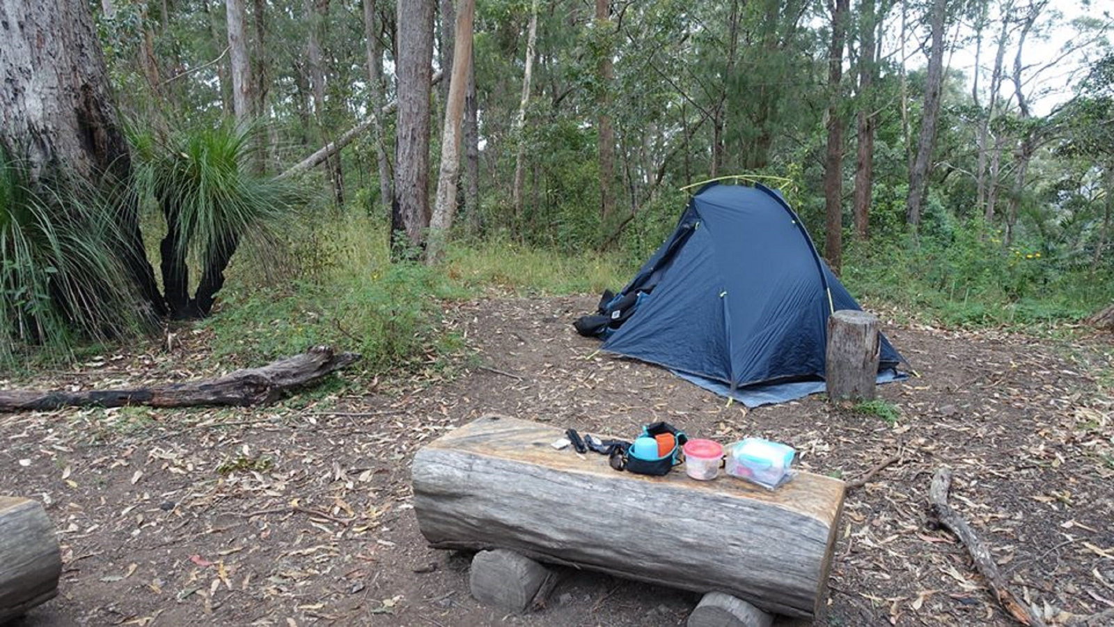 Dundas QLD C Tourism