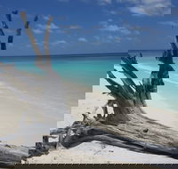 North West Island - C Tourism