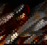 Outback Astronomy - C Tourism