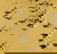 Pinnacles - C Tourism