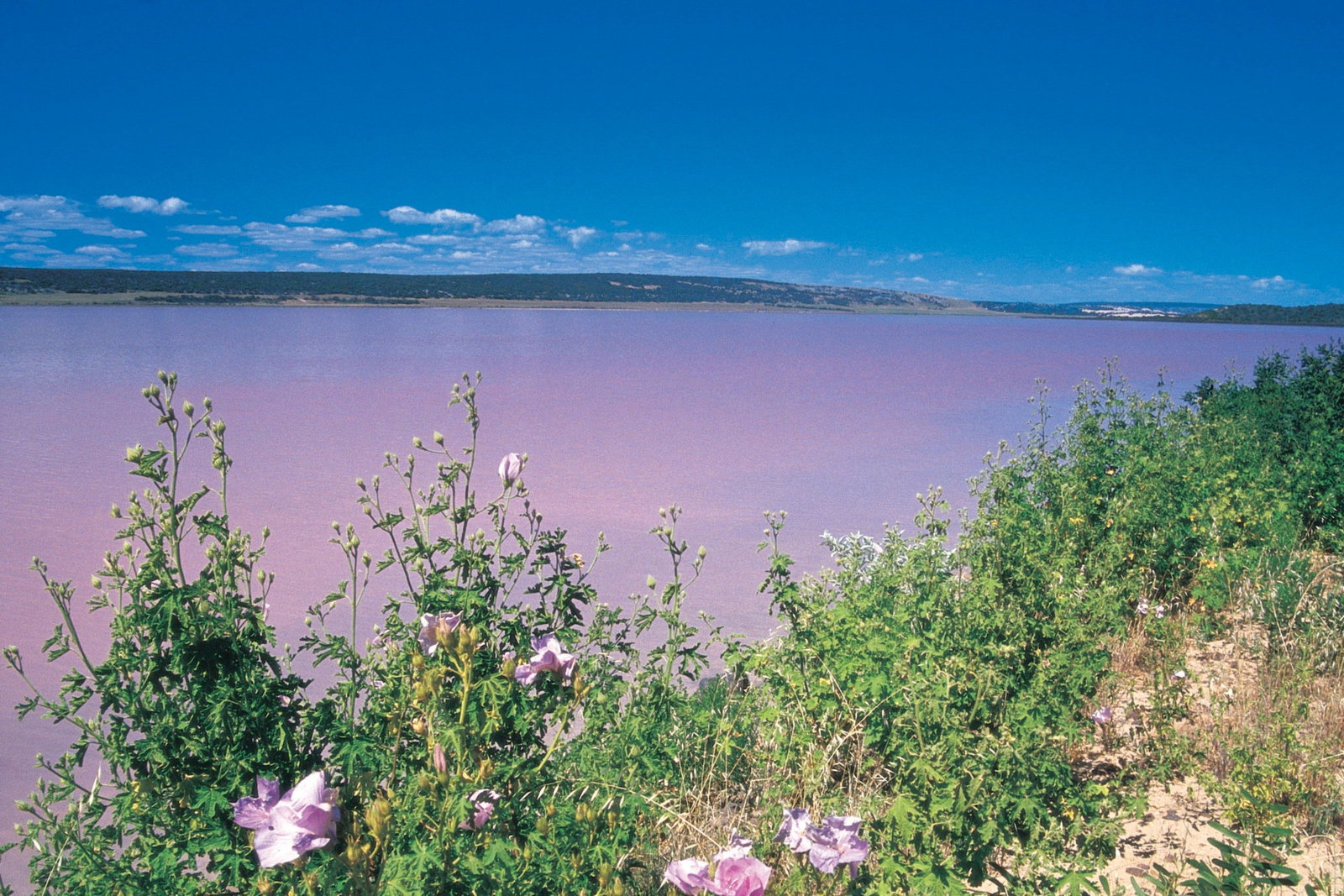 Gregory WA C Tourism