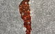 Red Poles Art Gallery - thumb 0