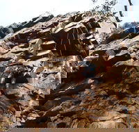 Rock Climbing in Morialta - C Tourism