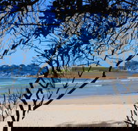 Sandon Beach - C Tourism