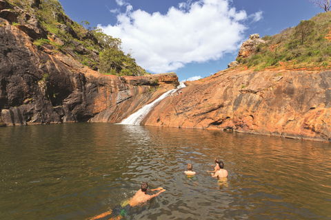 Serpentine - C Tourism 0