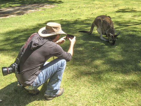 Serpentine - C Tourism 2