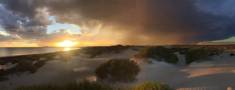 Shelly Beach Dune Walk Trail - C Tourism 2