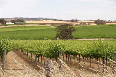 Smidge Wines Tasting Room - C Tourism 0