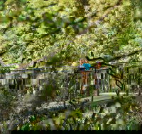 Tamborine Mountain - C Tourism