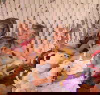 Tambo Teddies - C Tourism